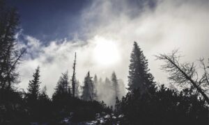 architecture kdainteriorment