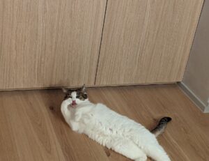 architecture plans kdainteriorment