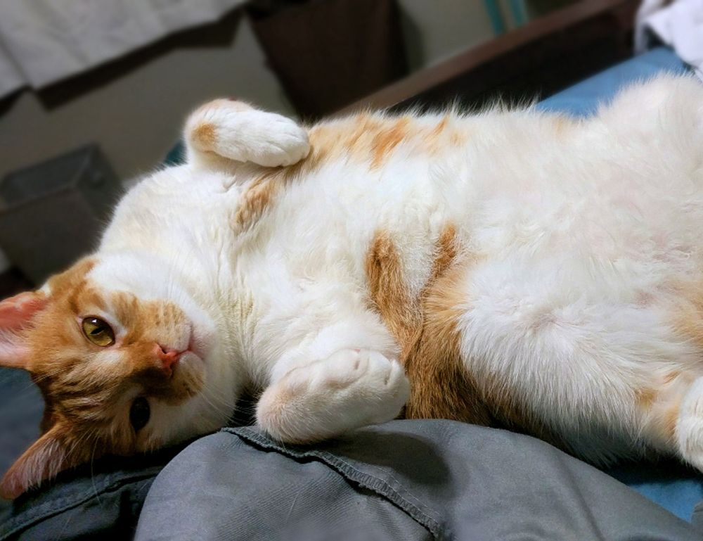 building advice kdainteriorment