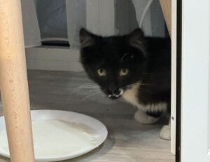 building guide kdainteriorment