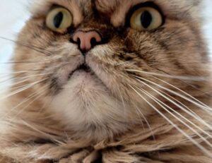 what makes architecture unique kdainteriorment