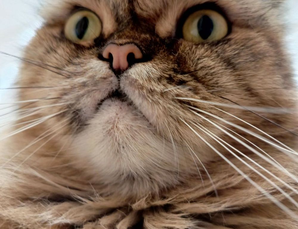 what makes architecture unique kdainteriorment