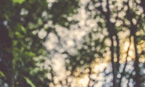 why can't i open a game marshock200 on pc