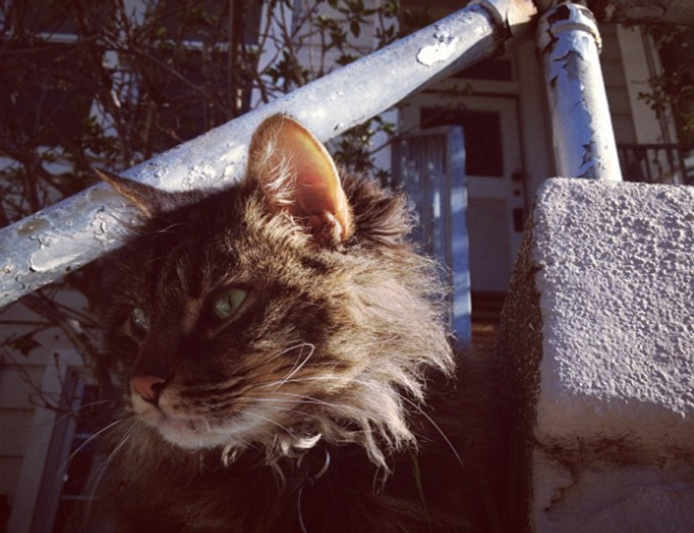 why can't i play darkwarfall online games on my wifi