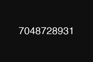 7048728931