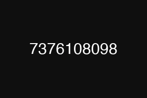 7376108098