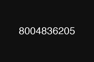 8004836205