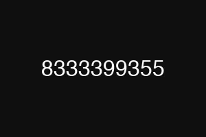 8333399355