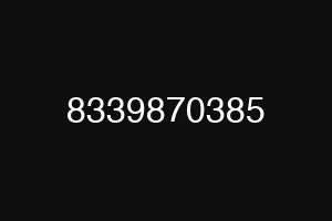 8339870385