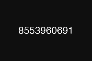 8553960691