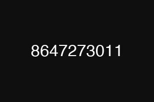 8647273011