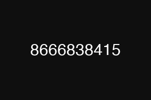 8666838415