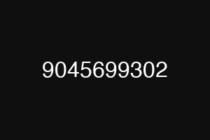 9045699302