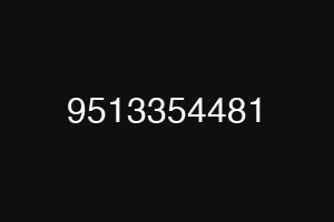 9513354481