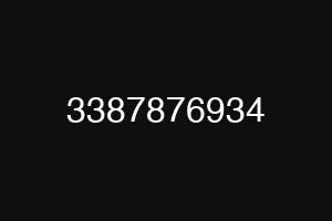 3387876934