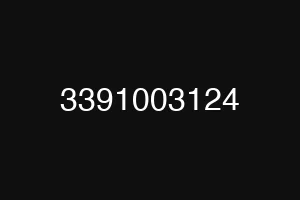 3391003124