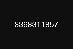 3398311857