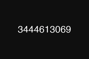 3444613069