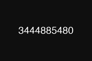 3444885480