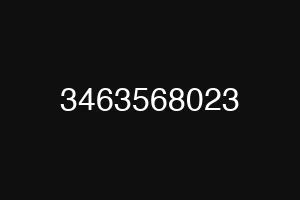 3463568023