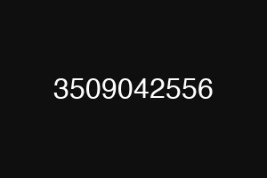 3509042556