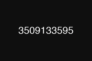 3509133595