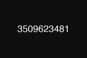 3509623481
