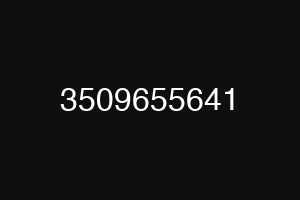 3509655641