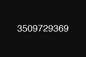 3509729369