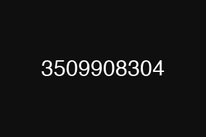 3509908304