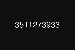 3511273933