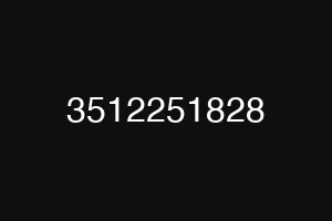 3512251828