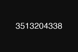 3513204338